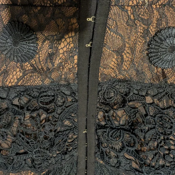 Byron Lars Sheer Black Lace Midi Dress - Picture 5 of 6